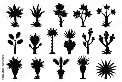 Set of Yucca black Silhouette Design with white Background and Vector Illustration photo