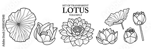 Set of isolated flower illustration in hand drawn style. Lotus in Black outline and white plane on transparent background. Floral elements for coloring book, packaging or fragrance design. Volume 2.
