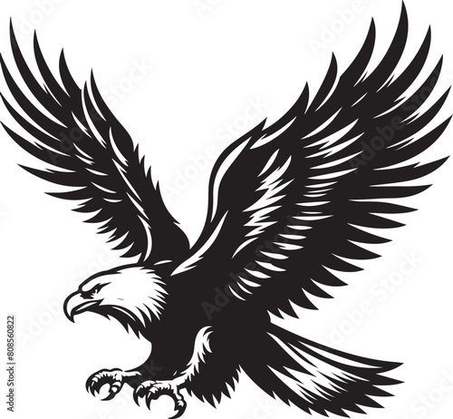 A soaring eagle with vector and line art silhouette illustration white background