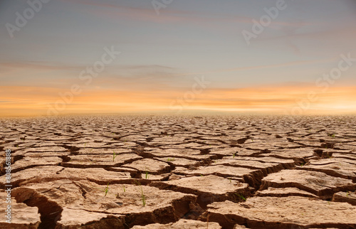 sunset in the desert