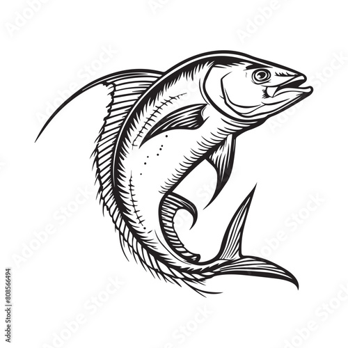 Mahi mahi fish vector illustration. black and white Mahi mahi fish photo