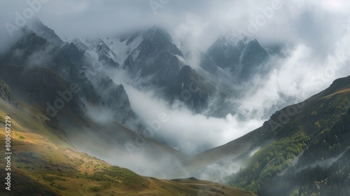 Thick fog on the mountain beautiful scenery tourism  vegetable  relax