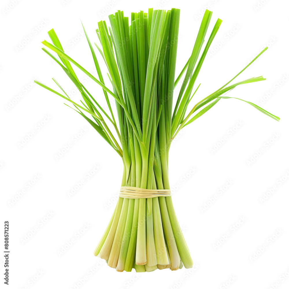 Lemongrass isolated on transparent background png file Lemongrass isolated on transparent background png file
