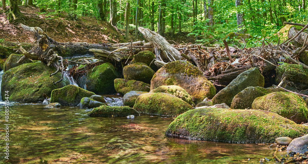 Fast mountain stream in a summer forest Fast mountain stream in a summer forest