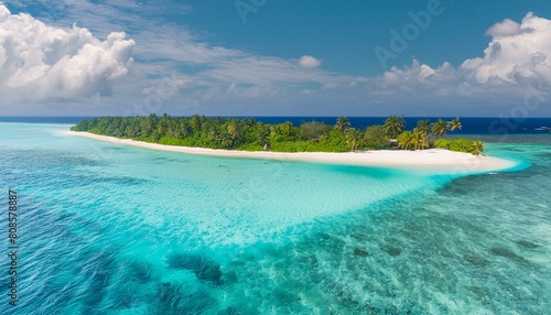 Island Bliss: Aerial Vista of Maldivian Palm Tree Haven photo