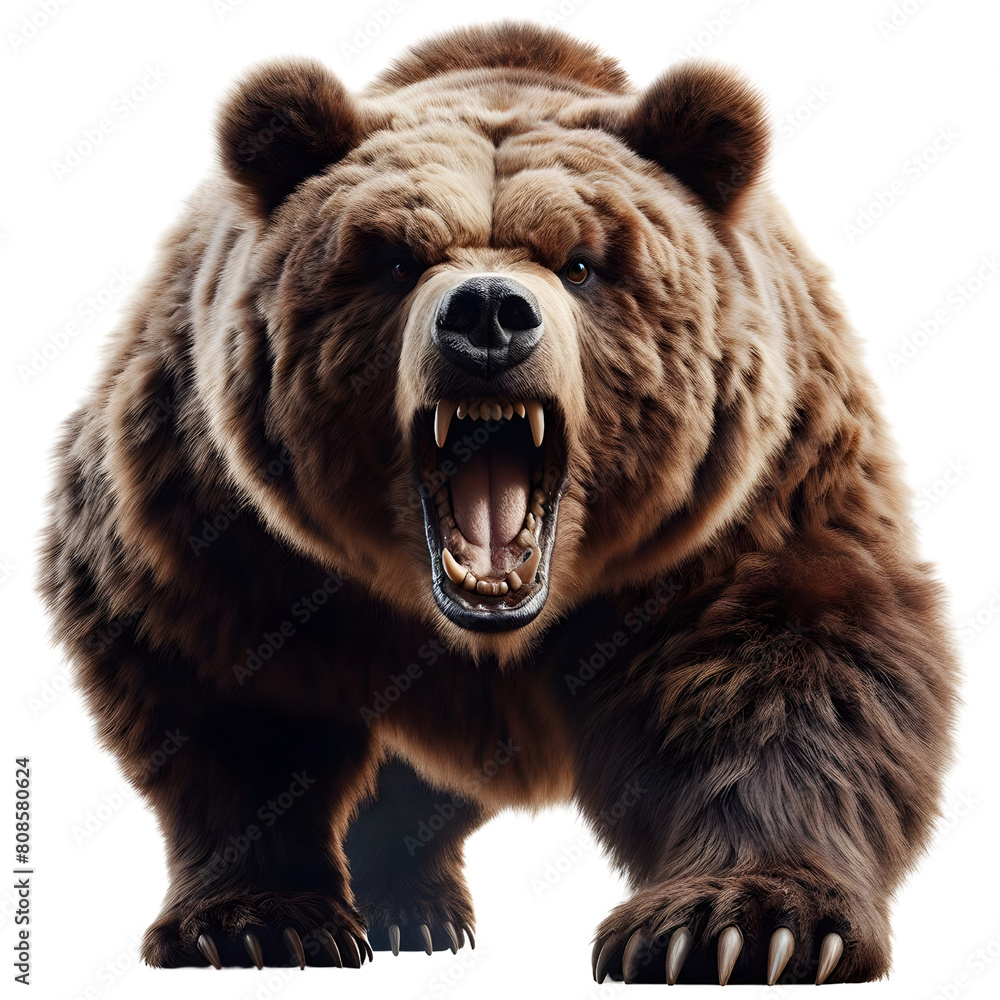 an angry brown grizzly bear, transparent background, png an angry brown grizzly bear, transparent background, png