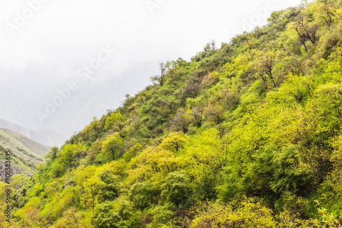 views from the trekking trail to the Gusgarf waterfall in the right gorge of the Varzob River, the most beautiful in the Hissar range near Dushanbe, Tajikistan photo