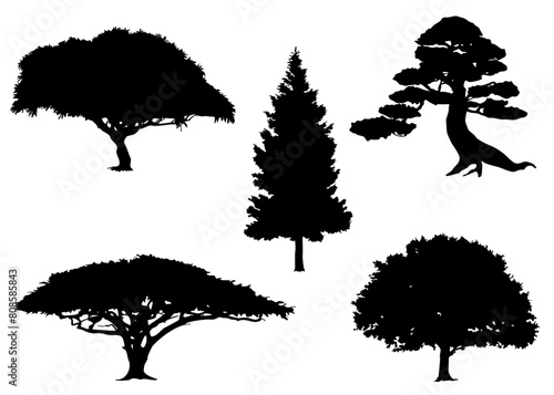 Set of Tree Silhouettes  Collection of Tree Shadows  Nature  Isolated  Black  Vector Illustration