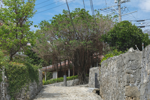 Kinjo-cho, Shuri cobblestone street, leading to Madan-bashi bridge on the Kokuba River from Shuri Castle in Naha, Okinawa Japan garden landscape nature scenery