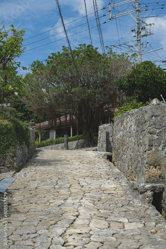 Kinjo-cho, Shuri cobblestone street, leading to Madan-bashi bridge on the Kokuba River from Shuri Castle in Naha, Okinawa Japan garden landscape nature scenery