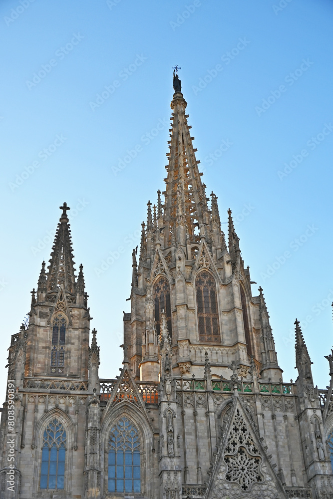 Barcellona, La cattedrale di Barcellona, totti, contrafforti e decorazioni gptiche - Catalogna, Spagna	