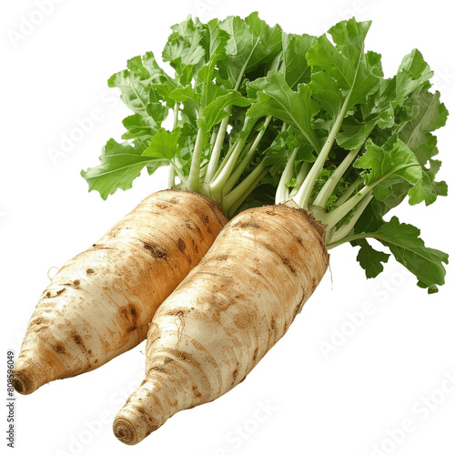 Two large white radishes with green leaves on a green background.