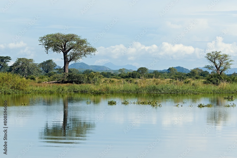 A view of the Shire River and surrounding countryside in Liwonde National Park. Malawi. Africa.