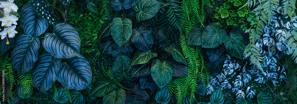 custom made wallpaper toronto digitalGroup of dark green tropical leaves background, Nature Lush Foliage Leaf Texture, tropical leaf