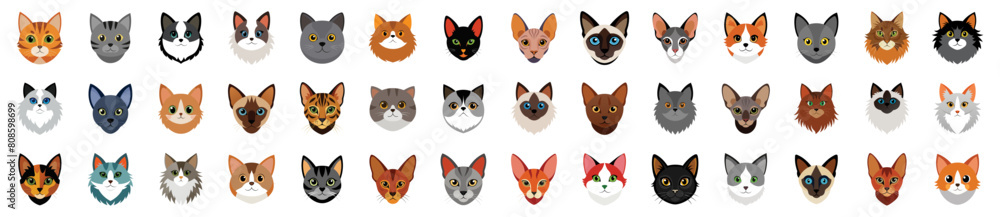 Collection of Cat Breeds Heads Icons, vector cartoon illustration. Diverse cats siamese, persian, maine coon, abyssinian, ragdoll, bengal, sphynx, russian blue, munchkin, domestic shorthair, pixiebob