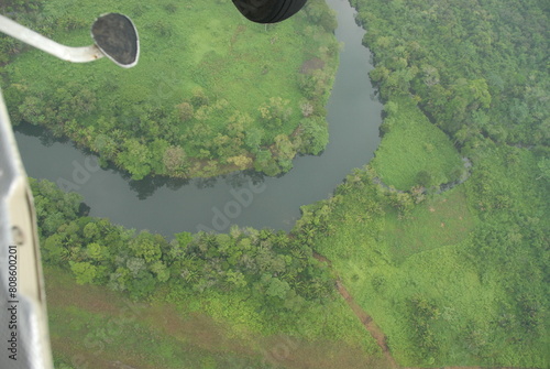 single bend in a river with an riel view of the jungle rain forest canopy in Toledo District, Southern Belize, Central America with tree tops in lush green taken from a light aircraft
