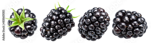 Set of four blackberries on white background. File contains clipping paths. photo
