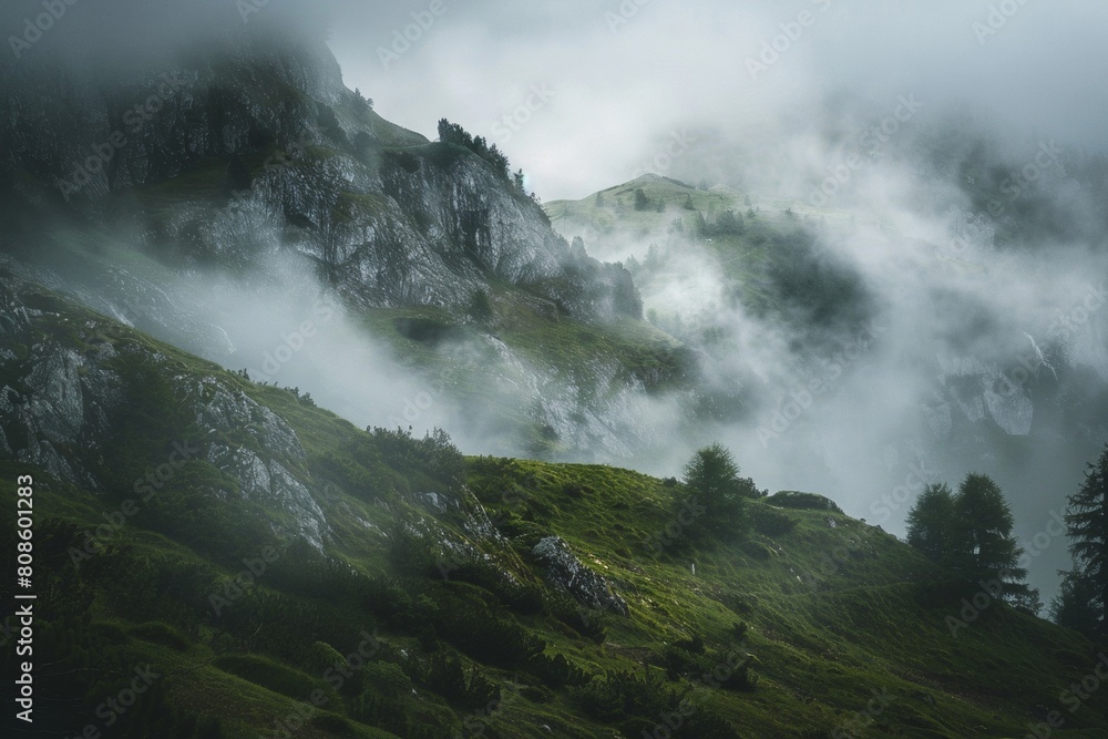 Mystic Mountain Fog