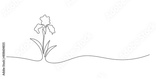 Vector isolated daffodils flowers bloom contour line colorless black and white drawing on white background. The minimalist line of the nerd. Vector graphics of romance