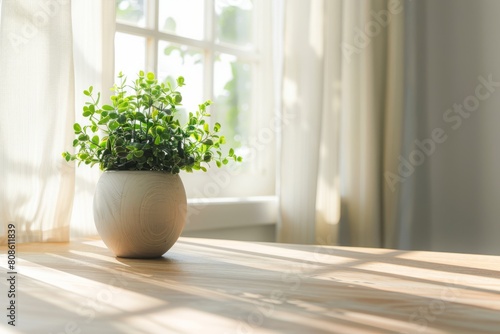 A potted plant sitting on top of a wooden table  illuminated by soft sunlight in a minimalist workspace