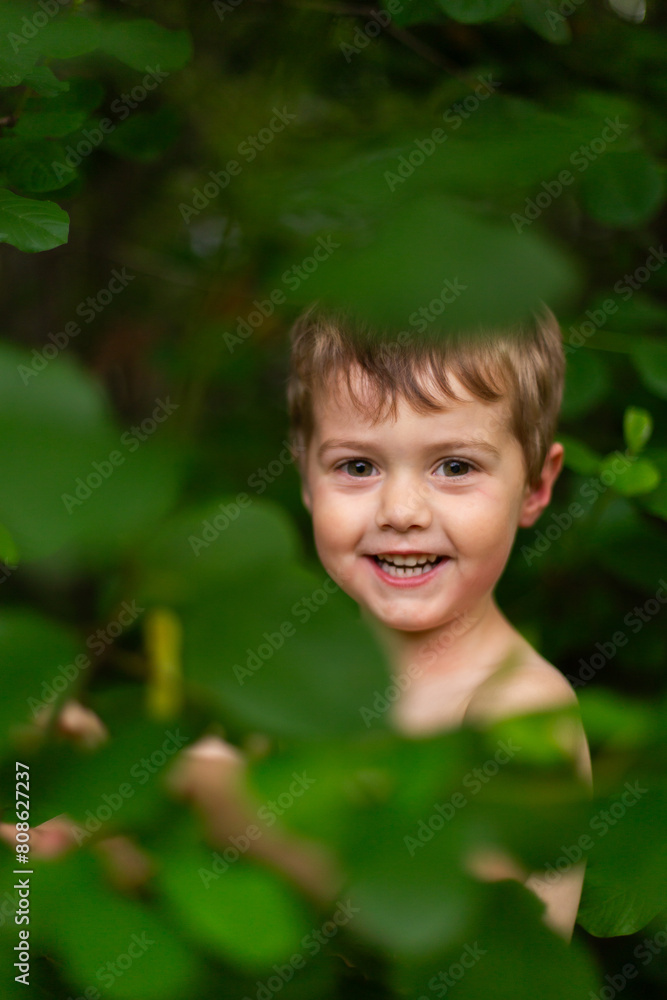 Toddler boy happy playing in forest leaves Toddler boy happy playing in forest leaves