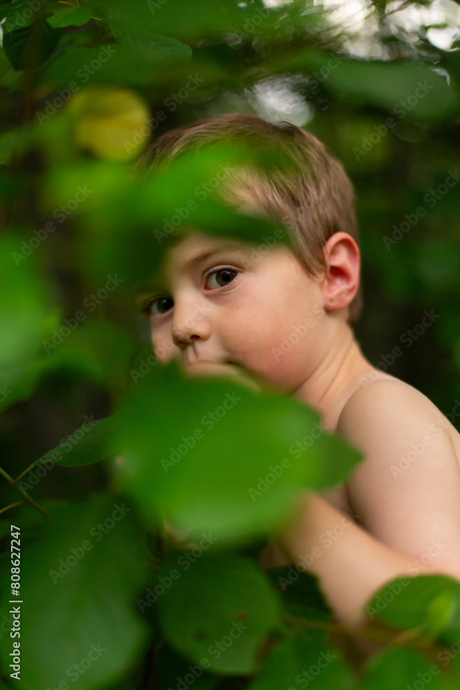 Toddler boy peaking out behind leaves in forest Toddler boy peaking out behind leaves in forest