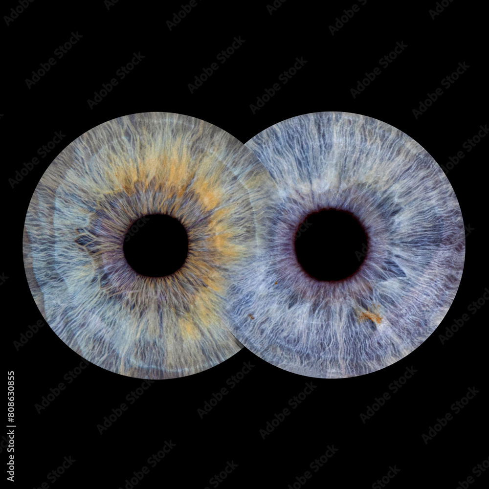 Two human irises on black background. Blue pupils in shape of infinity. Macro eye Two human irises on black background. Blue pupils in shape of infinity. Macro eye
