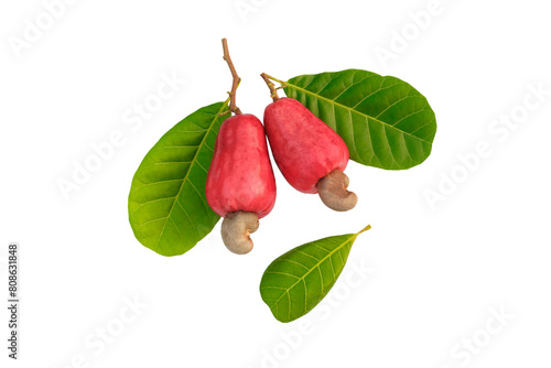 Cashew  ripe fruit on isolated a white background