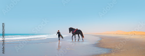 Horse walking on the sand dunes at the beach - Namib desert , Namibia  - A male surfer walks on the beach with a surfboard in hand