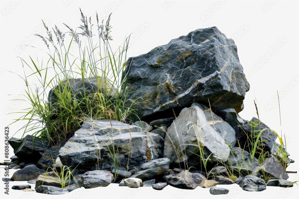 Isolate various rock and grass composition landscape on transparent backgrounds 