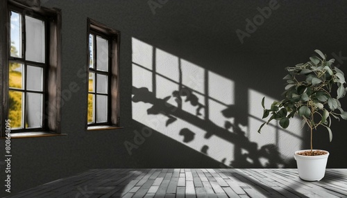 Room Interior with Window Shadows  Overlay PNG