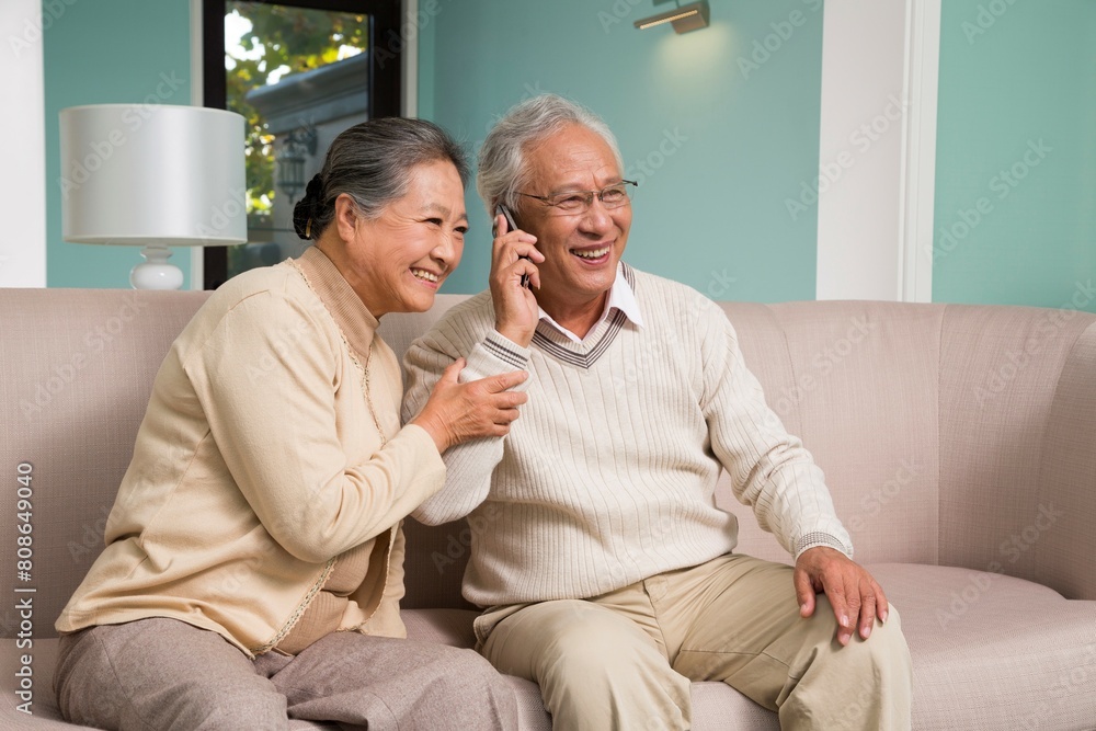 Elderly couple in the living room Elderly couple in the living room