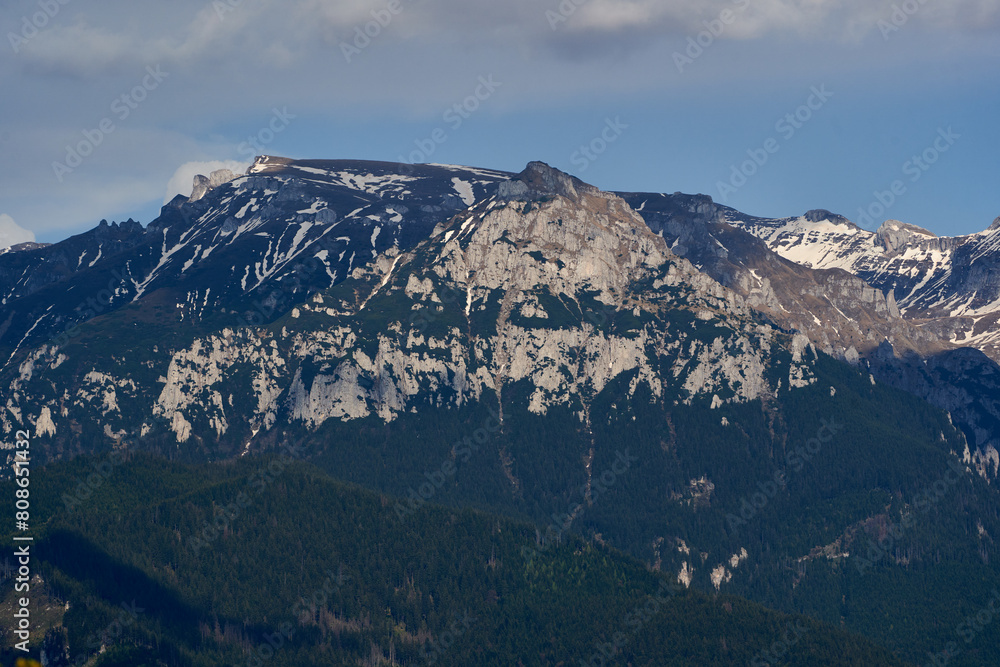 Rocky mountains and pine forests