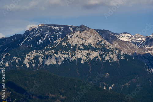 Rocky mountains and pine forests