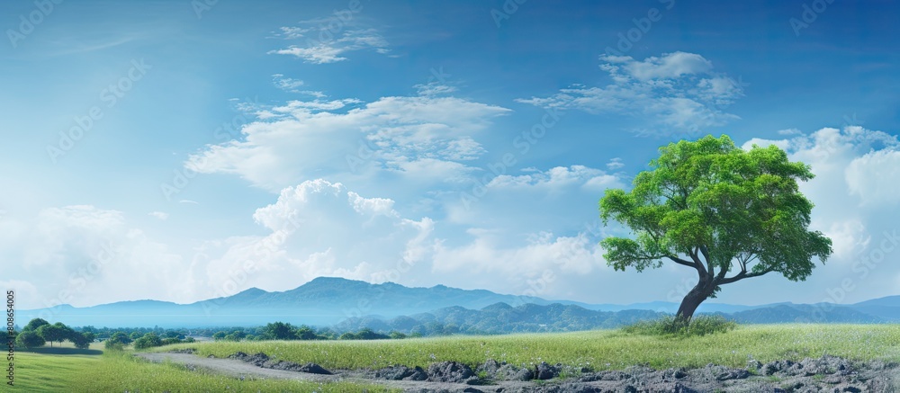 A scenic view of a landscape with a blue sky serving as the background. Copy space image. Place for adding text and design A scenic view of a landscape with a blue sky serving as the background. Copy space image. Place for adding text and design