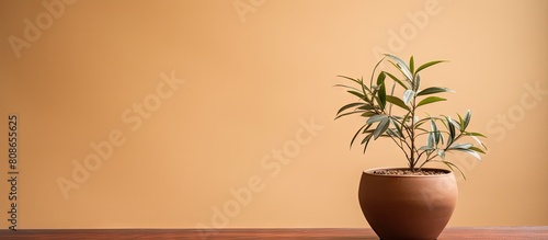 A neglected indoor plant in a brown ceramic pot sits on a beige background conveying the concept of poor care Copy space is available