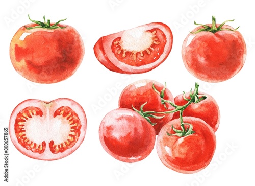 Tomato vegetables watercolor hand painted food set (ID: 808657865)