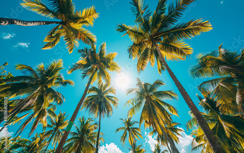 Blue sky and palm trees, view from below, vintage style, tropical beach and summer background