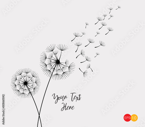 Vector illustration dandelion seed blowing in the wind. Dandelion seed icon. Dandelion on a white background. Vector illustration