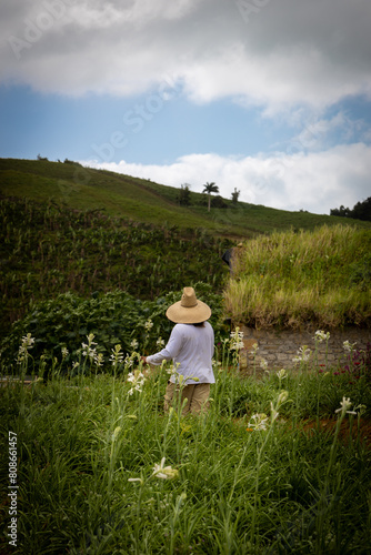 Farmer in a straw hat in a flower field