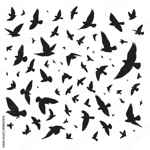 Vector set of birds flying in silhouette style