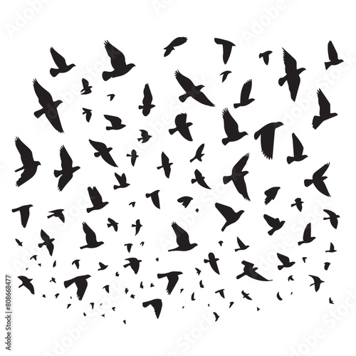 Vector set of birds flying in silhouette style