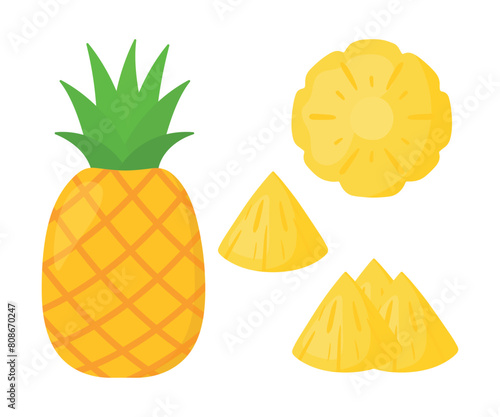Pineapple Slices Collection Tropical Summer Fruit Doodle Vector Illustration