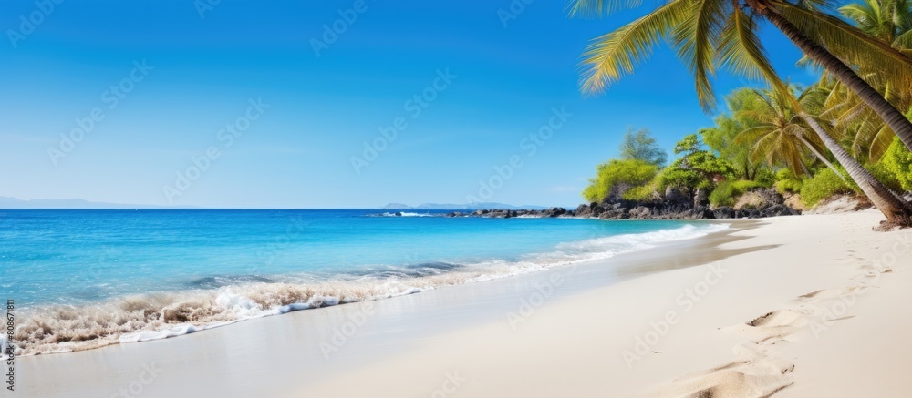 Adorable photos featuring the aesthetic beauty of a tropical beach with ample copy space image