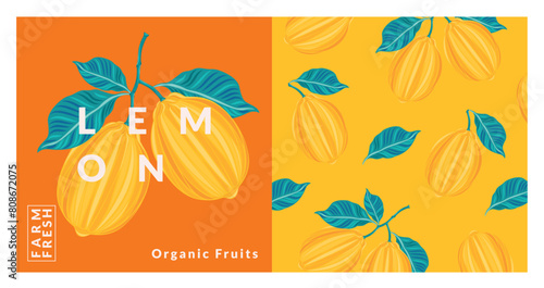 Lemon packaging design templates. Modern style vector illustration.