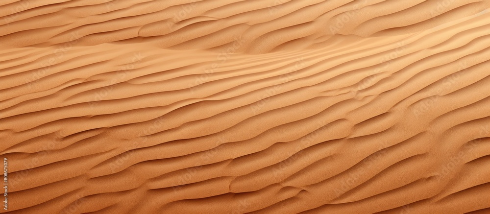 Copy space image of a sandy surface s texture Copy space image of a sandy surface s texture
