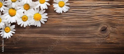 A top view of chamomile flowers rested on a wooden background allowing for ample copy space in the image
