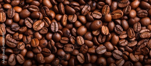 An image featuring a background of coffee beans specifically showcasing Arabica coffee beans that have been roasted. Copy space image. Place for adding text and design