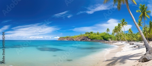 A sunny tropical paradise beach with coconut trees and a clear blue sky dotted with clouds The panoramic view showcases the summer tropical landscape creating a perfect backdrop for travel and touris photo
