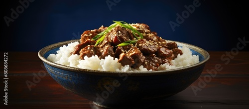 A substantial portion of a delicious beef bowl with generous servings. Copy space image. Place for adding text and design photo